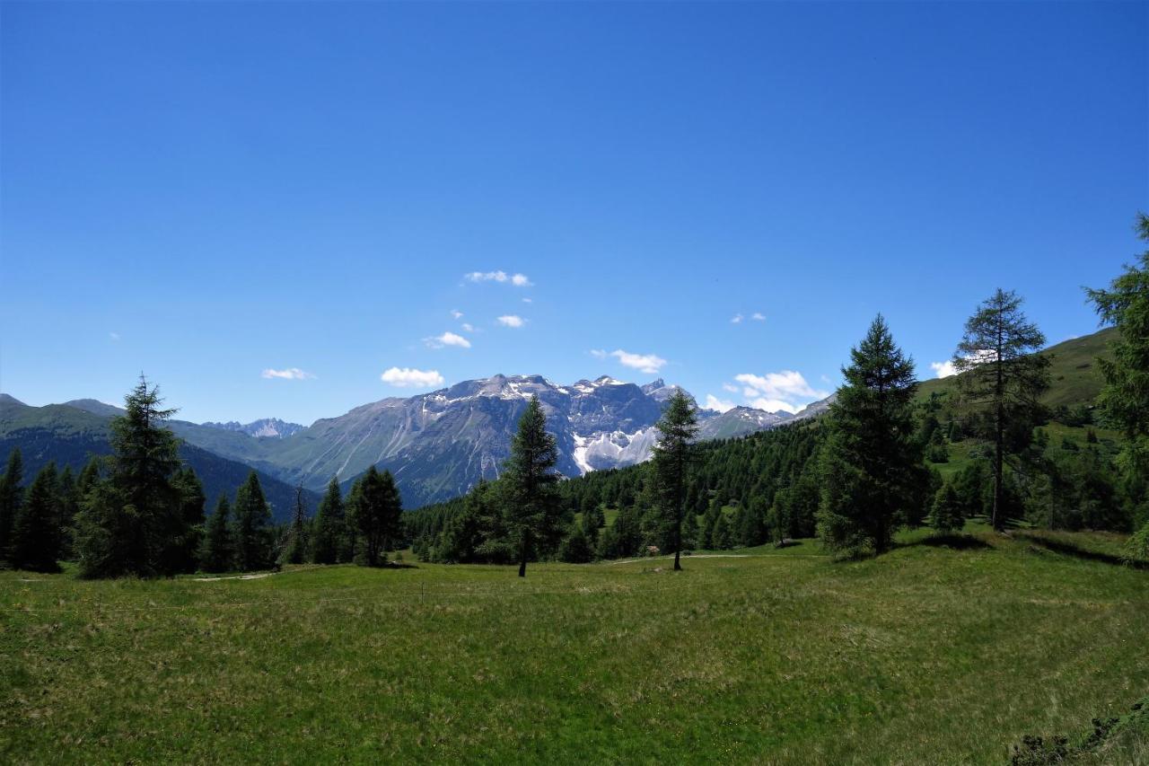 Alpen Gasthof Apartments Hohe Burg Trins Exteriér fotografie